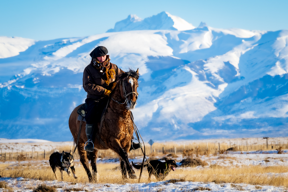 Diego and His Dogs - I loved watching his dogs
