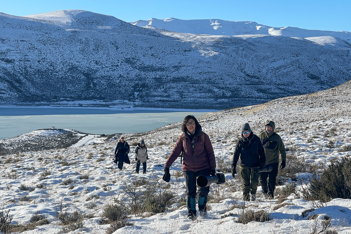 Hike up the hill to find Petaca