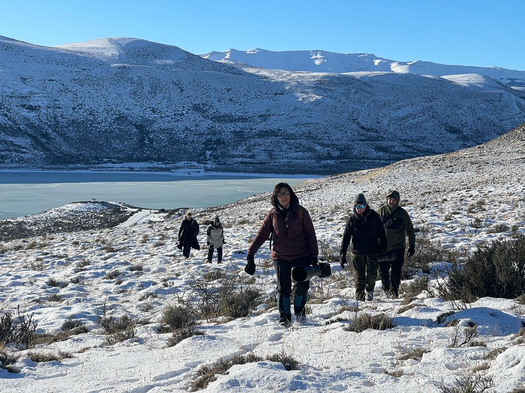 Hike up the hill to find Petaca