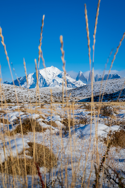 Torres del Paine