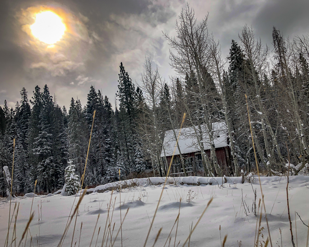 Martis Creek Cabin